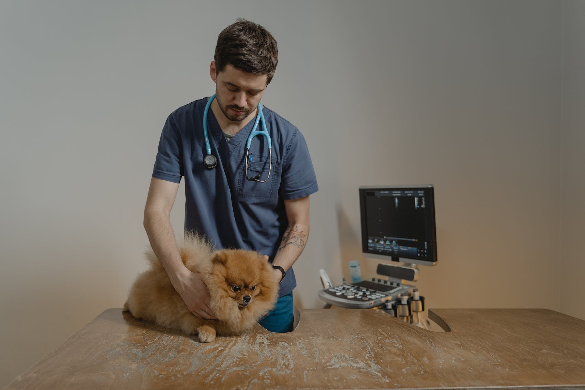 Kaip dažnai reikėtų lankytis veterinarijos klinikoje?